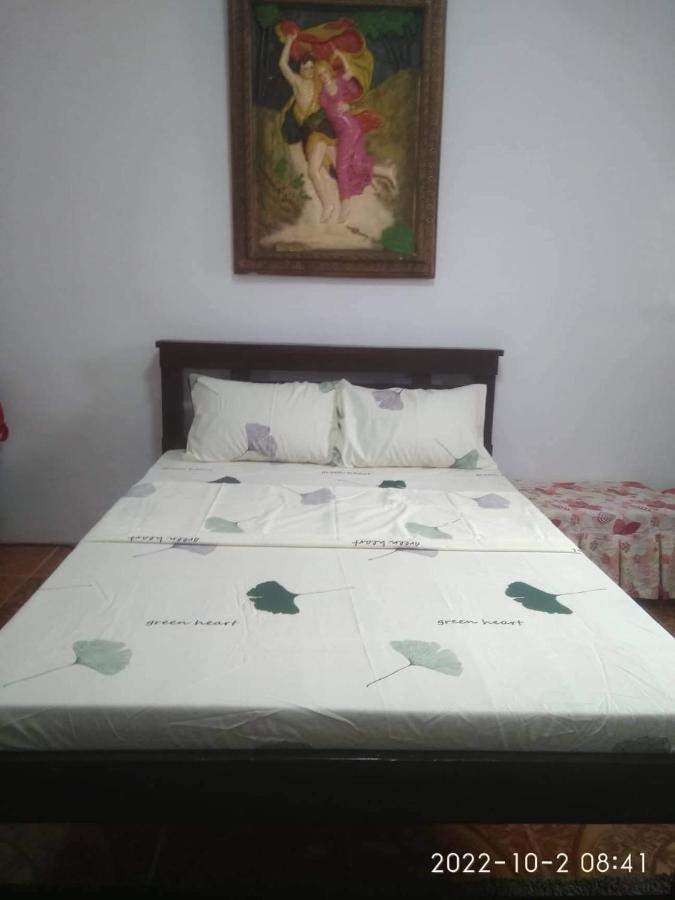 ألامينوس Alona'S Traditional Filipino Home Near 100 Islands Wharf المظهر الخارجي الصورة